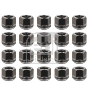 Śruby, nakrętki, szpilki FEBI BILSTEIN FE32479