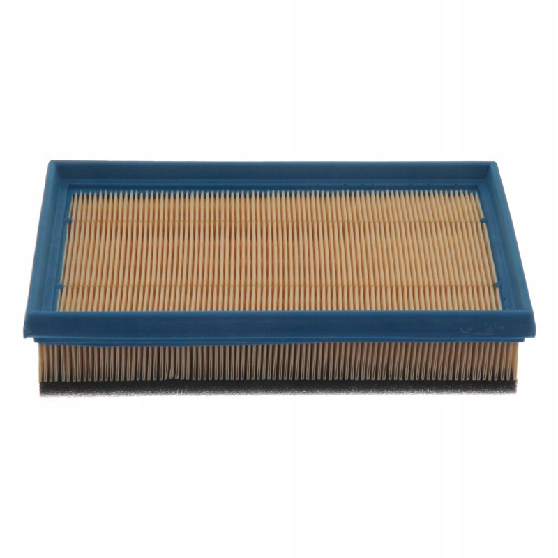 Filtr powietrza FEBI BILSTEIN FE38879