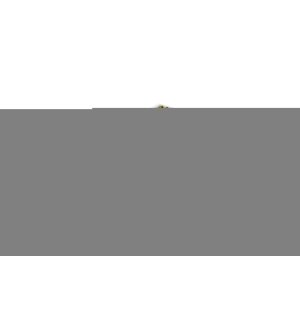 Filtr kabiny MANN-FILTER FP 26 005