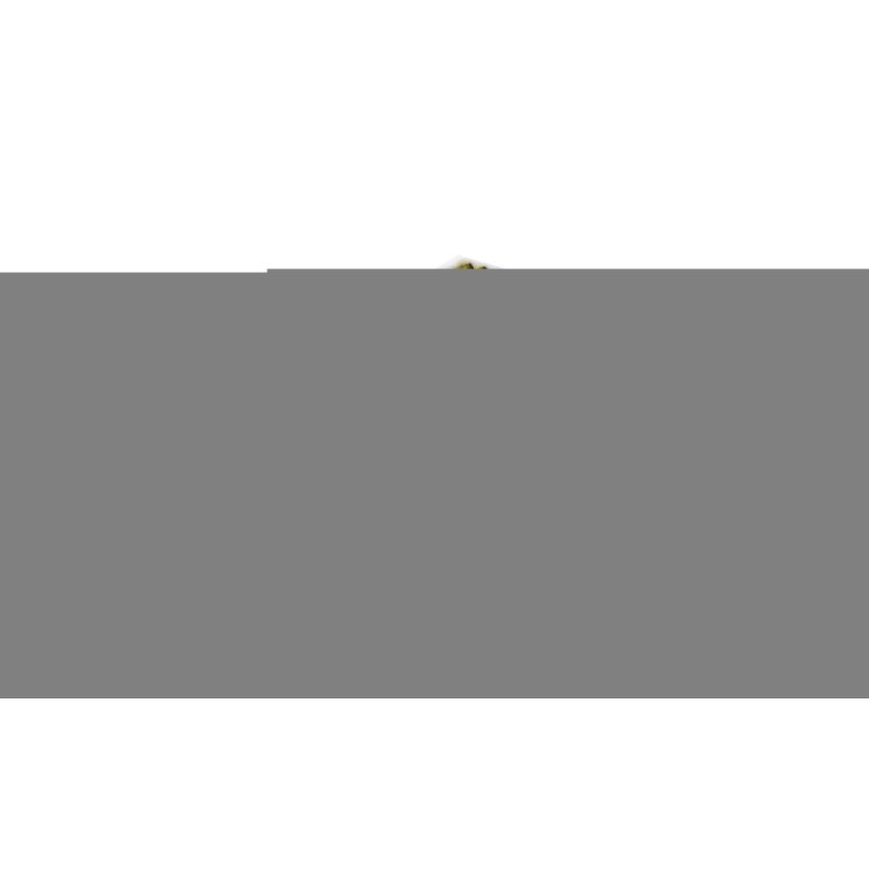 Filtr kabiny MANN-FILTER FP 26 005