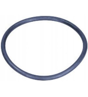 Uszczelka termostatu FEBI BILSTEIN FE17964