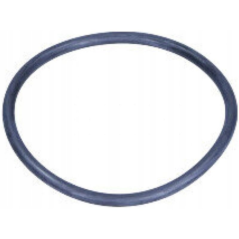 Uszczelka termostatu FEBI BILSTEIN FE17964