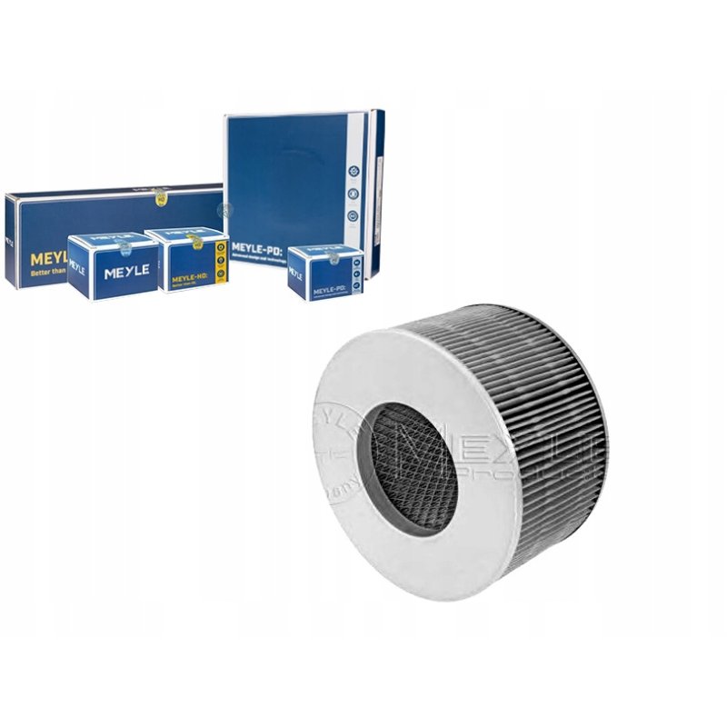 Filtr powietrza BLUE PRINT ADT32245