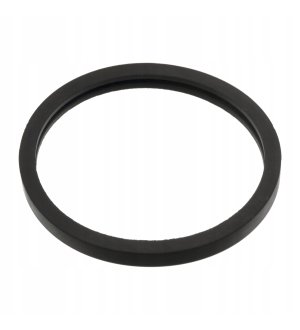 Uszczelka termostatu FEBI BILSTEIN FE05156