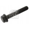 Śruba stopki korbowodu FEBI BILSTEIN FE48744