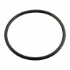 Uszczelka termostatu FEBI BILSTEIN FE11443