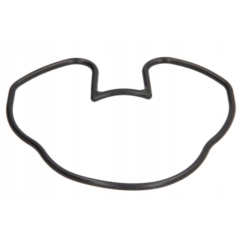 Uszczelniacz przekładni dolnej SIERRA 18-2541