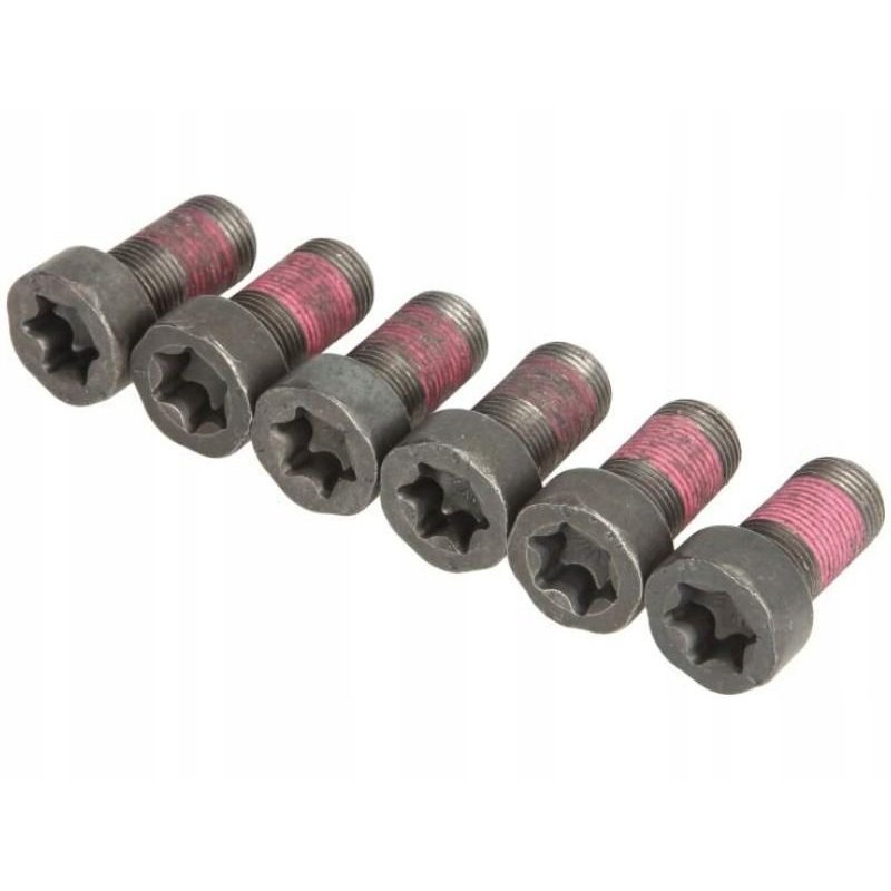 Zestaw śrub koła zamachowego LUK 411 0255 10