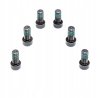 Zestaw śrub koła zamachowego LUK 411 0255 10