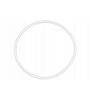 Uszczelka pompy paliwa OE FIAT 46797219