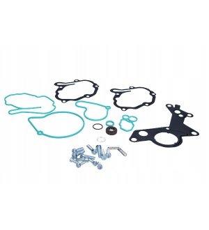 Zestaw naprawczy pompy próżniowej MEAT & DORIA MD91147