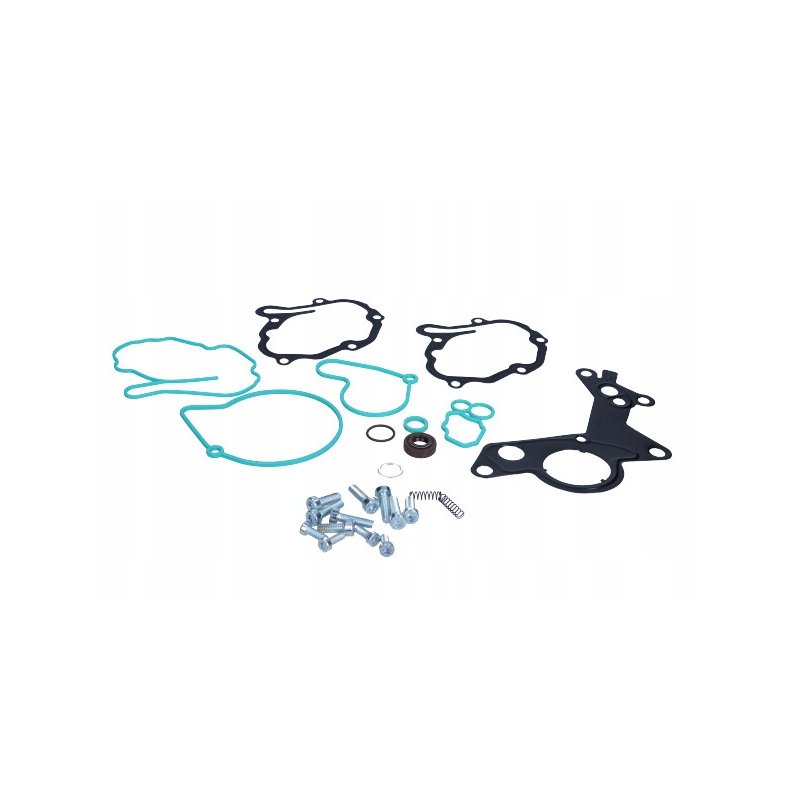 Zestaw naprawczy pompy próżniowej MEAT & DORIA MD91147