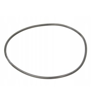 Oring skrzyni biegów ZF 0634313216ZF