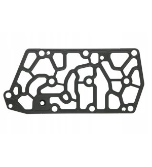 Uszczelka skrzyni biegów ZF 6070323001ZF