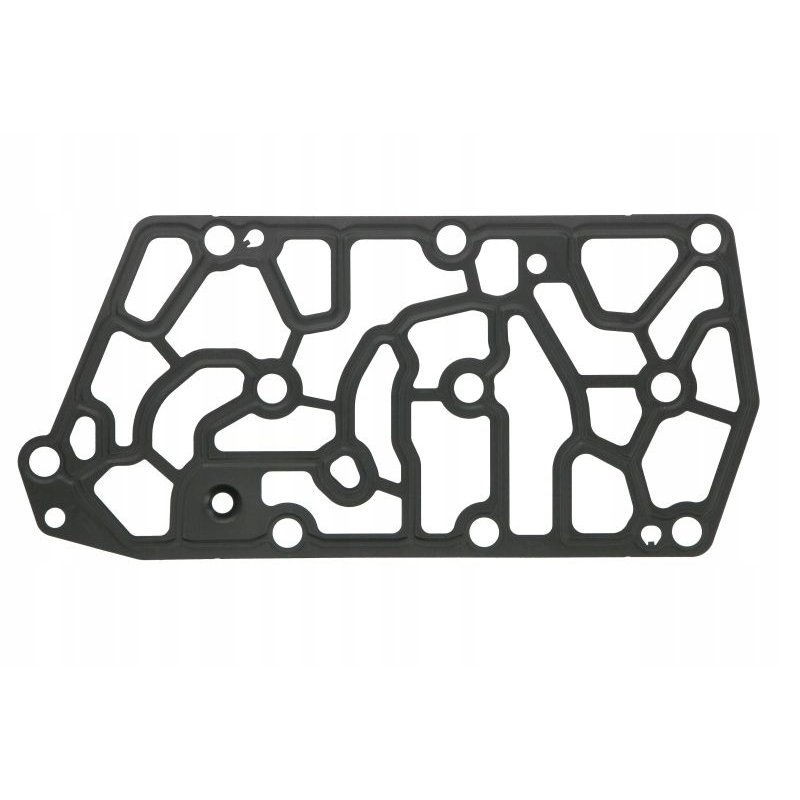 Uszczelka skrzyni biegów ZF 6070323001ZF