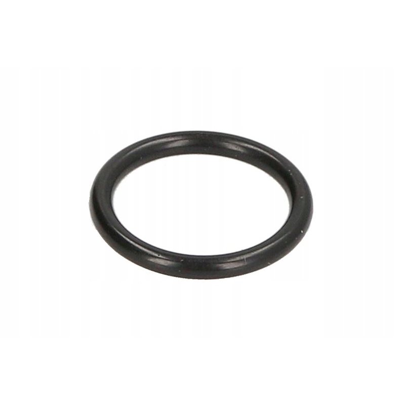 Oring skrzyni biegów ZF 0634306524ZF