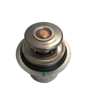 Termostat Cummins G5448899