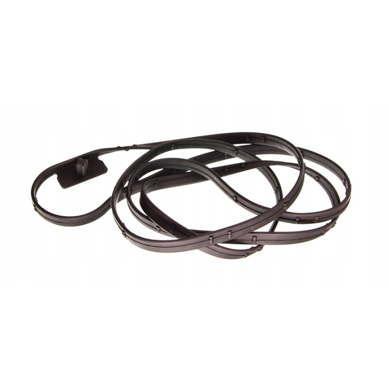 Uszczelka skrzyni biegów ZF 0501 323 156