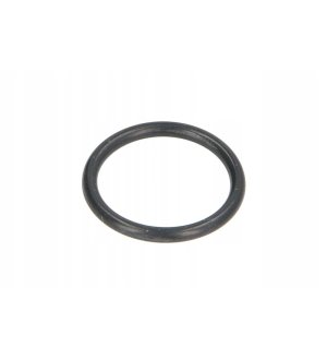 Oring skrzyni biegów ZF 0634306198ZF