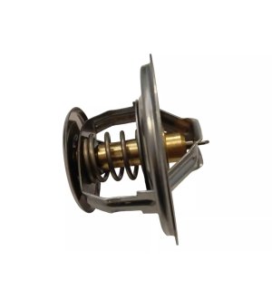 Termostat Hanomag 2871591M1