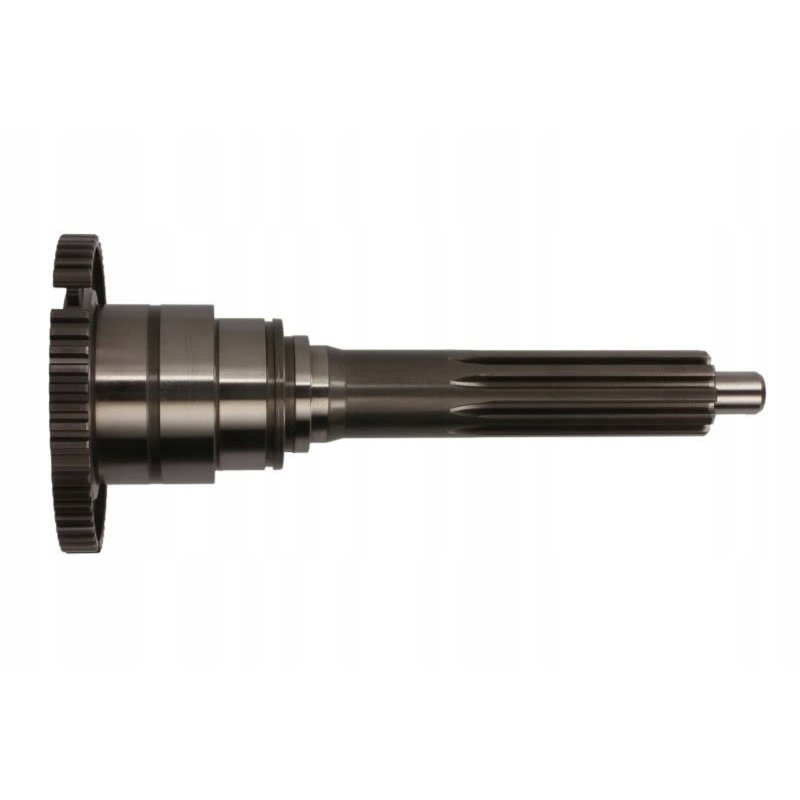 Wałek wejściowy/sprzęgłowy C.E.I 190303