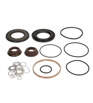 Zestaw uszczelniaczy skrzyni biegów ZF 1325298011ZF