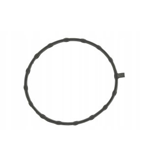 Uszczelka pompy paliwa SIERRA 18-0396