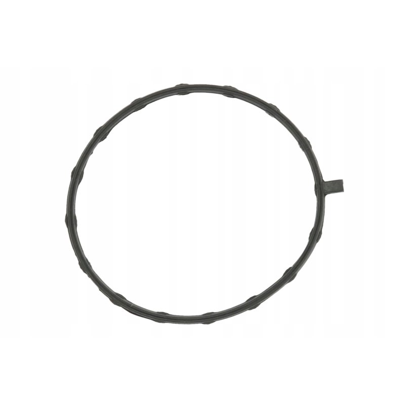 Uszczelka pompy paliwa SIERRA 18-0396