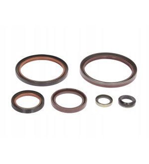 Zestaw uszczelniaczy skrzyni biegów ZF 1304298908ZF