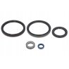 Zestaw uszczelniaczy skrzyni biegów ZF 1325298010ZF