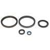 Zestaw uszczelniaczy skrzyni biegów ZF 1325298010ZF