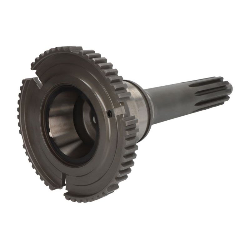 Wałek wejściowy/sprzęgłowy C.E.I 190315