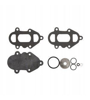 Zestaw naprawczy pompy paliwa SIERRA 18-7811