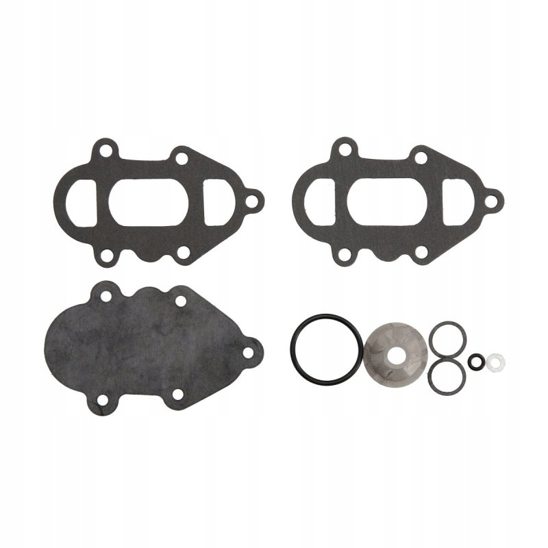 Zestaw naprawczy pompy paliwa SIERRA 18-7811