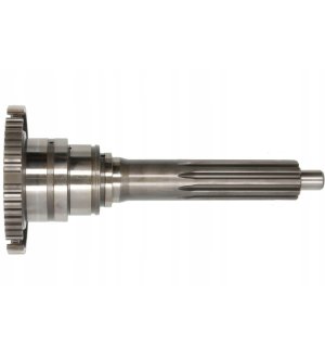 Wałek wejściowy/sprzęgłowy C.E.I 190304