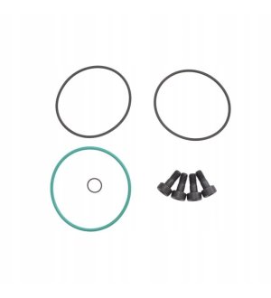 Zestaw naprawczy pompy CR VDO DIESEL A2C5331110880