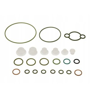 Zestaw naprawczy pompy CR BOSCH DIESEL F 00N 201 973