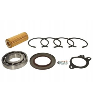 Zestaw naprawczy przekładni planetarnej EURORICAMBI 88531199