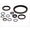 Zestaw uszczelniaczy skrzyni biegów EURORICAMBI 95534146