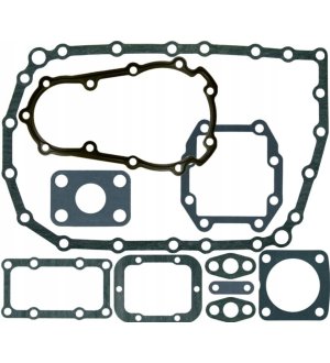 Zestaw uszczelek skrzyni biegów EURORICAMBI 95533231