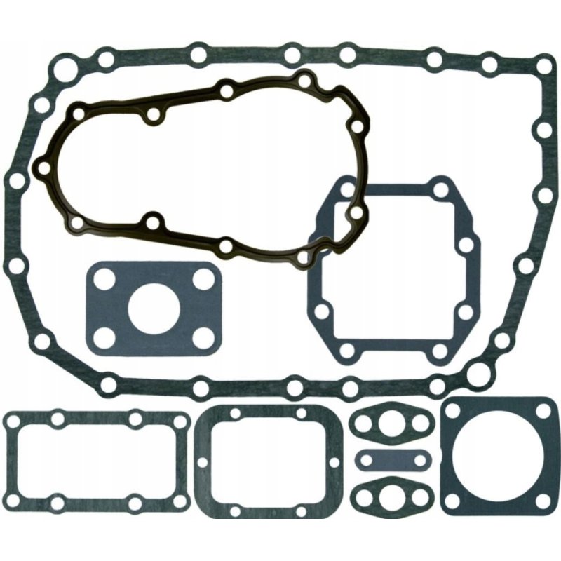 Zestaw uszczelek skrzyni biegów EURORICAMBI 95533231