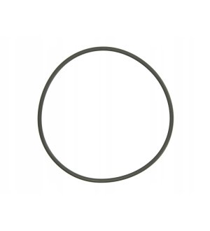 Uszczelka pompy paliwa PIERBURG 3.32038.02.0