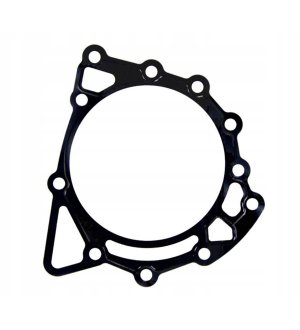 Uszczelka skrzyni biegów EURORICAMBI 95531556