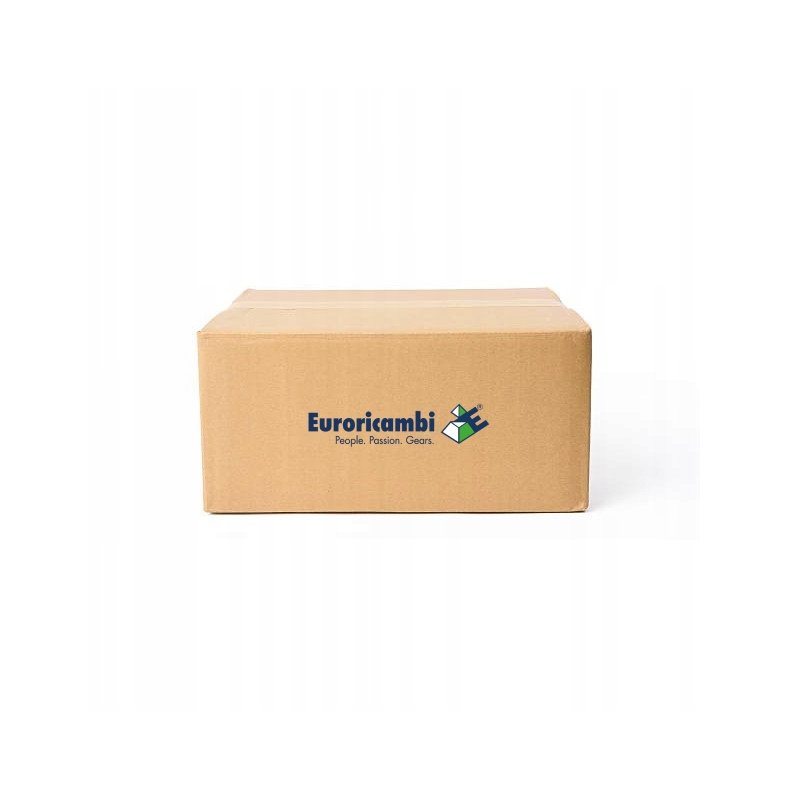 Zestaw naprawczy mostu EURORICAMBI 74171138