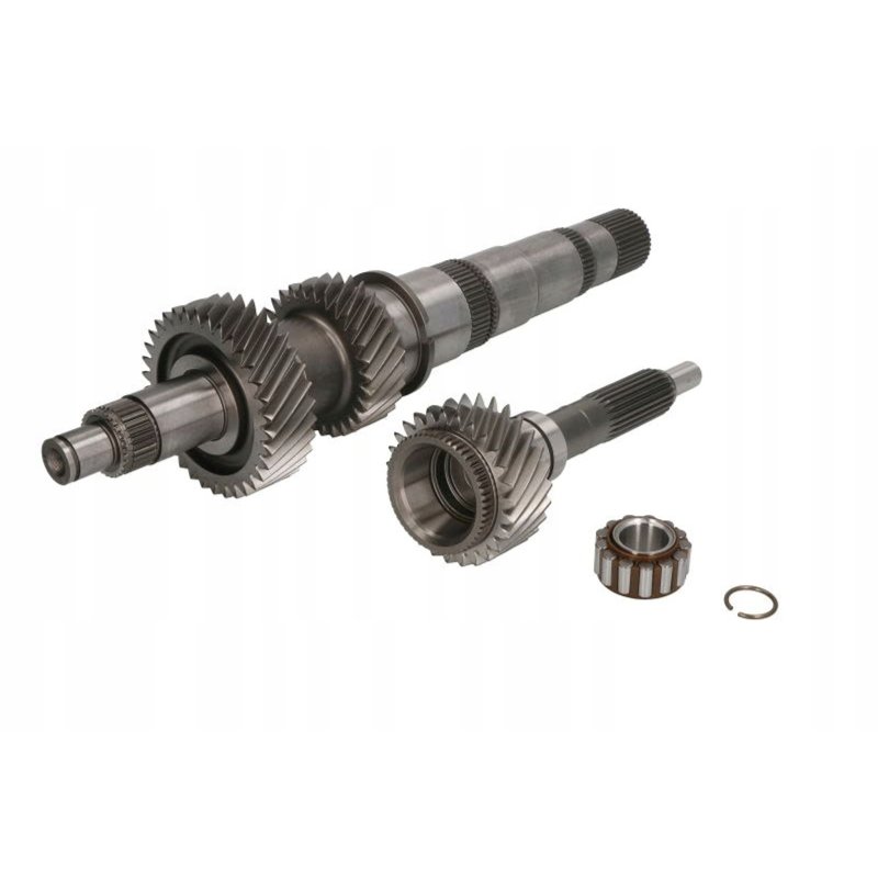 Wałek wejściowy/sprzęgłowy EURORICAMBI/MASIERO 60770MASIERO