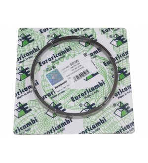 Element blokujący synchronizatora EURORICAMBI 95570599