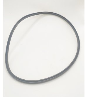 USZCZELKA  ZF 0501319960 IPG