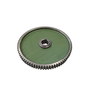 Koło zapadkowe zęby proste wpust 10 Rozrzutnik.2213040010 7032040091