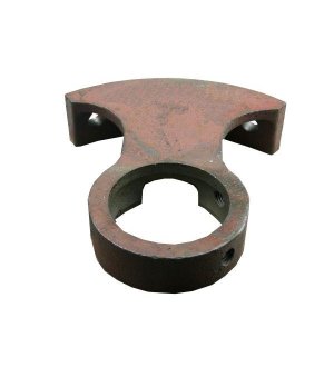 Wspornik ślimaka Bizon