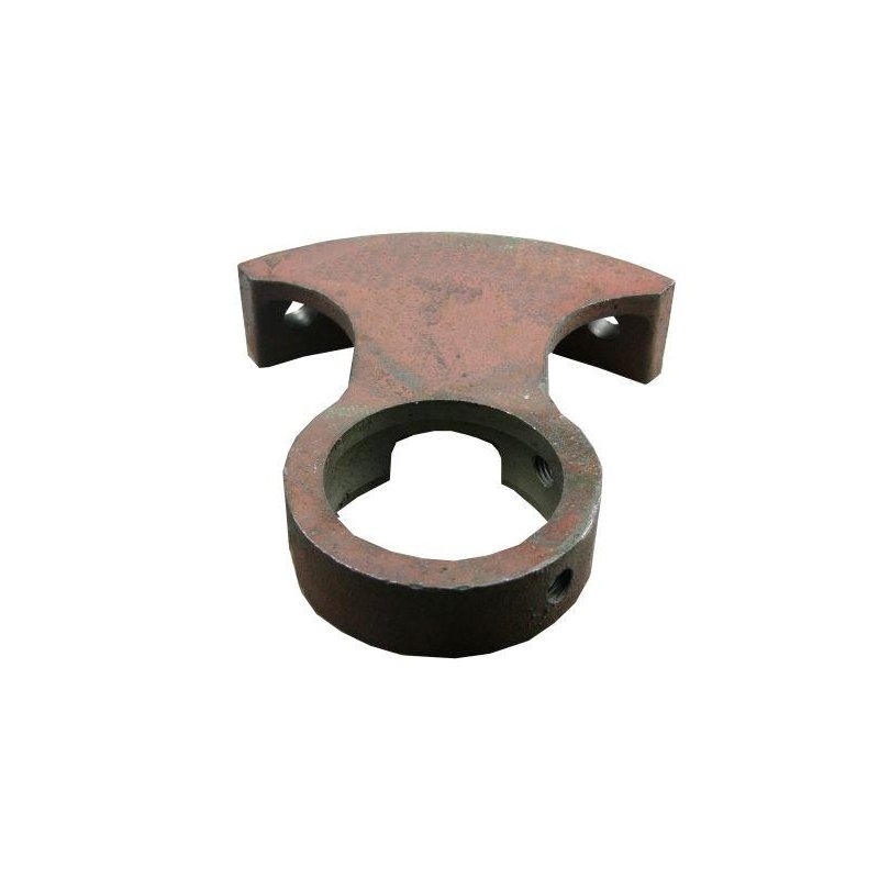 Wspornik ślimaka Bizon